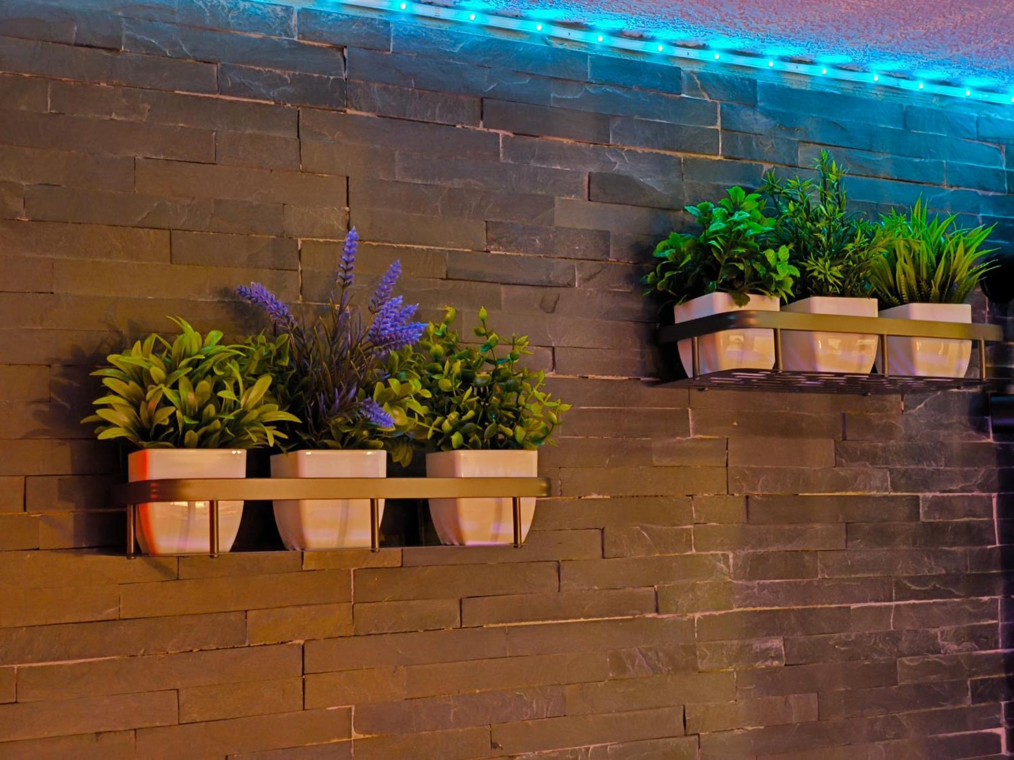 Love-Room Discret 40 M2 Bormes Les Mimosas Village Avec Terrasse ภายนอก รูปภาพ
